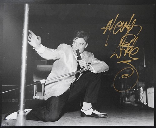 Marty wilde rock roll singer - marty,